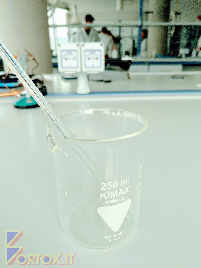 Becker vuoto da 250ml